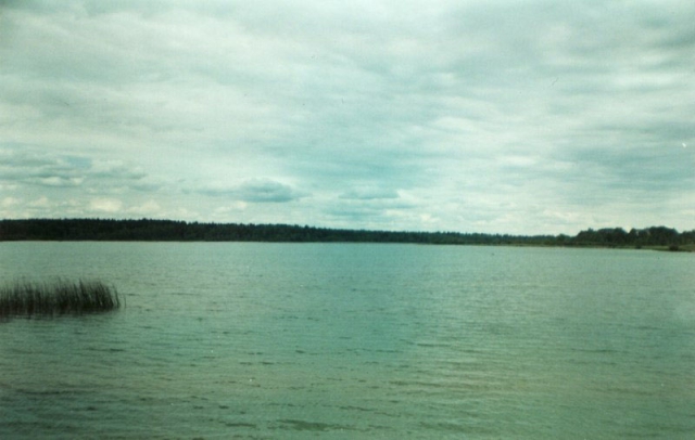 Святое озеро (Троицкое)